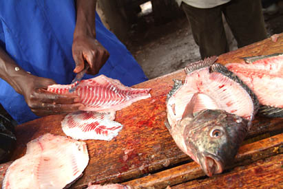 informal and formal jobs in Uganda