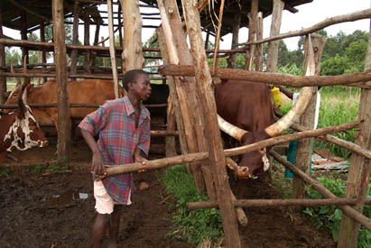 Remand centre and foster families: approaches to juvenile justice in Uganda