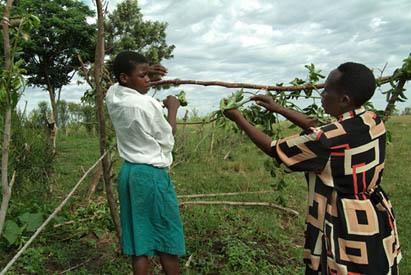 Remand centre and foster families: approaches to juvenile justice in Uganda