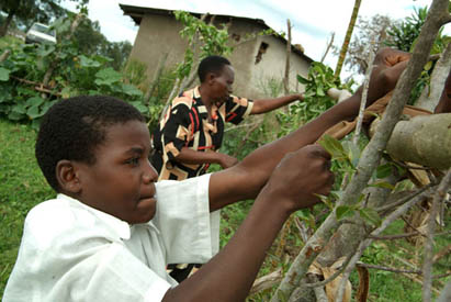 Remand centre and foster families: approaches to juvenile justice in Uganda