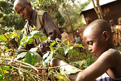 families in the HIV/AIDS memory book project, Uganda